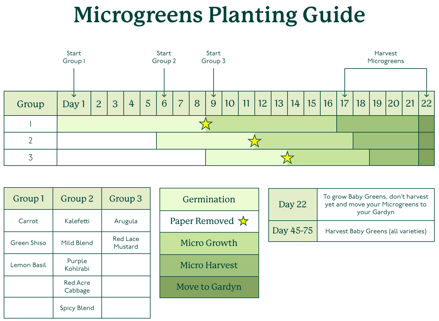 cropped Microgreens Planting Guide (3).png